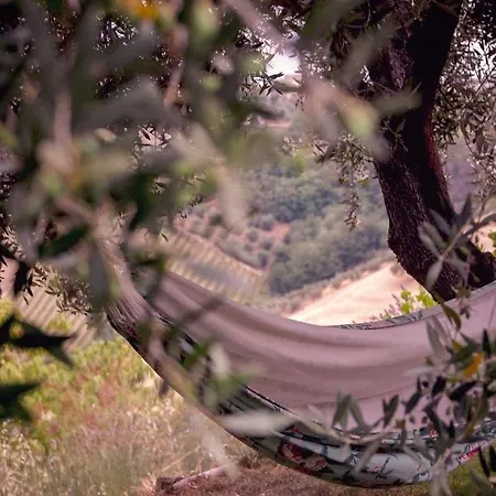 La Mia Casa Nelle Marche Nocleg ze śniadaniem