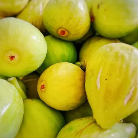 Nocleg ze śniadaniem La Mia Casa Nelle Marche 3*