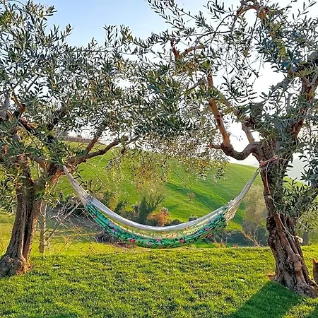 La Mia Casa Nelle Marche Bed & Breakfast