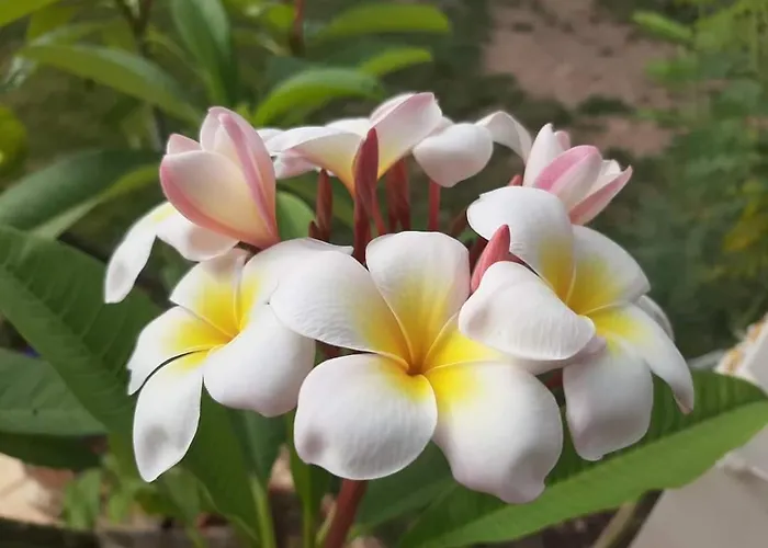 Bed & Breakfast La Mia Casa Nelle Marche